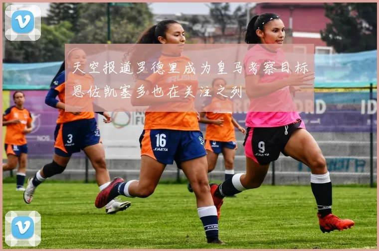 天空报道罗德里成为皇马考察目标恩佐凯塞多也在关注之列